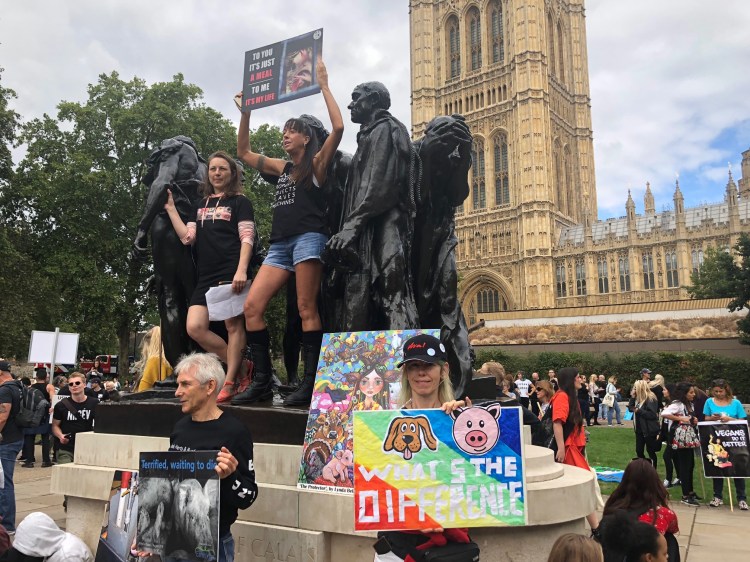 Animal Rights March, London 2018