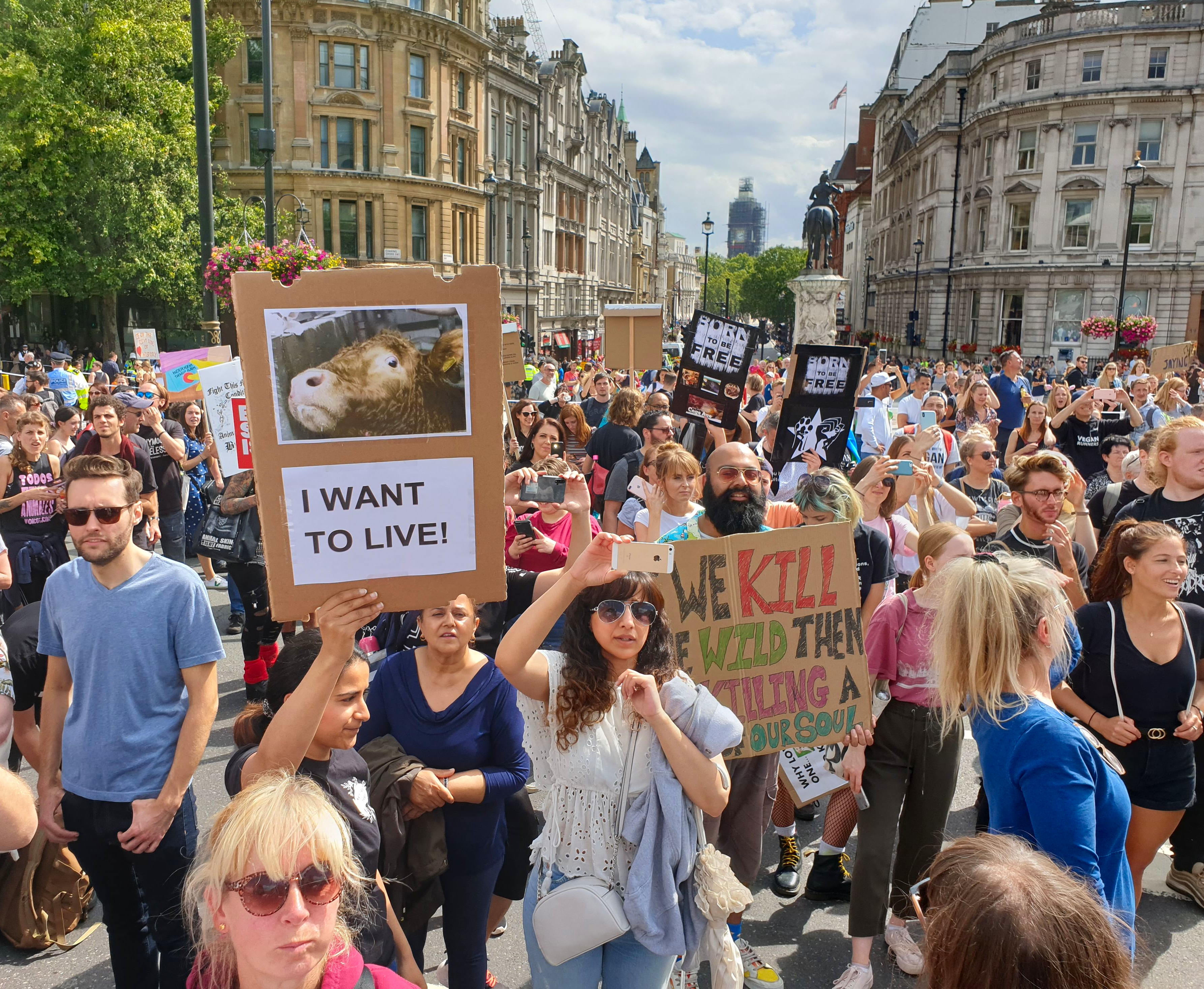 Animal Rights March London 2019