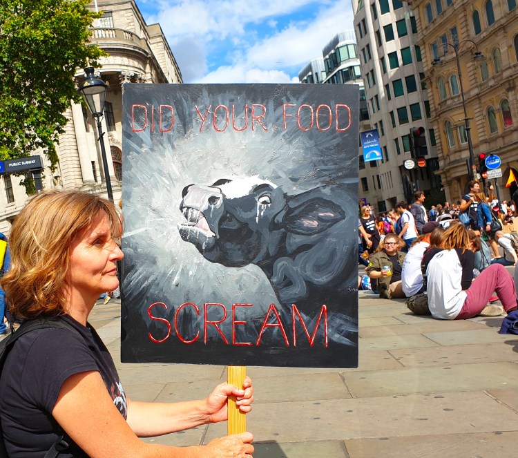 Did your food scream?