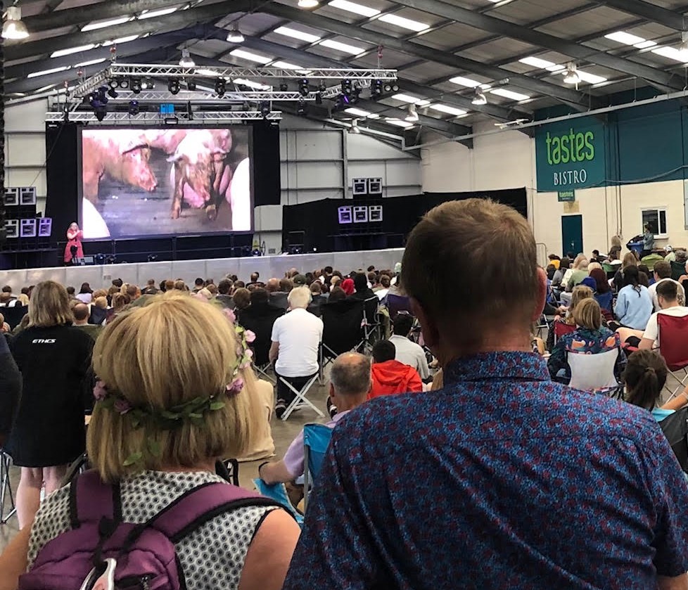 Viewing Hogwood: A Modern Horror Story at Vegan Campout 2021 