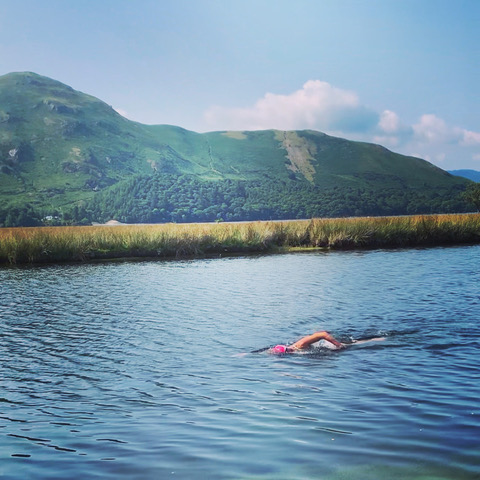 Total Immersion coach Susan Cheshire swimming